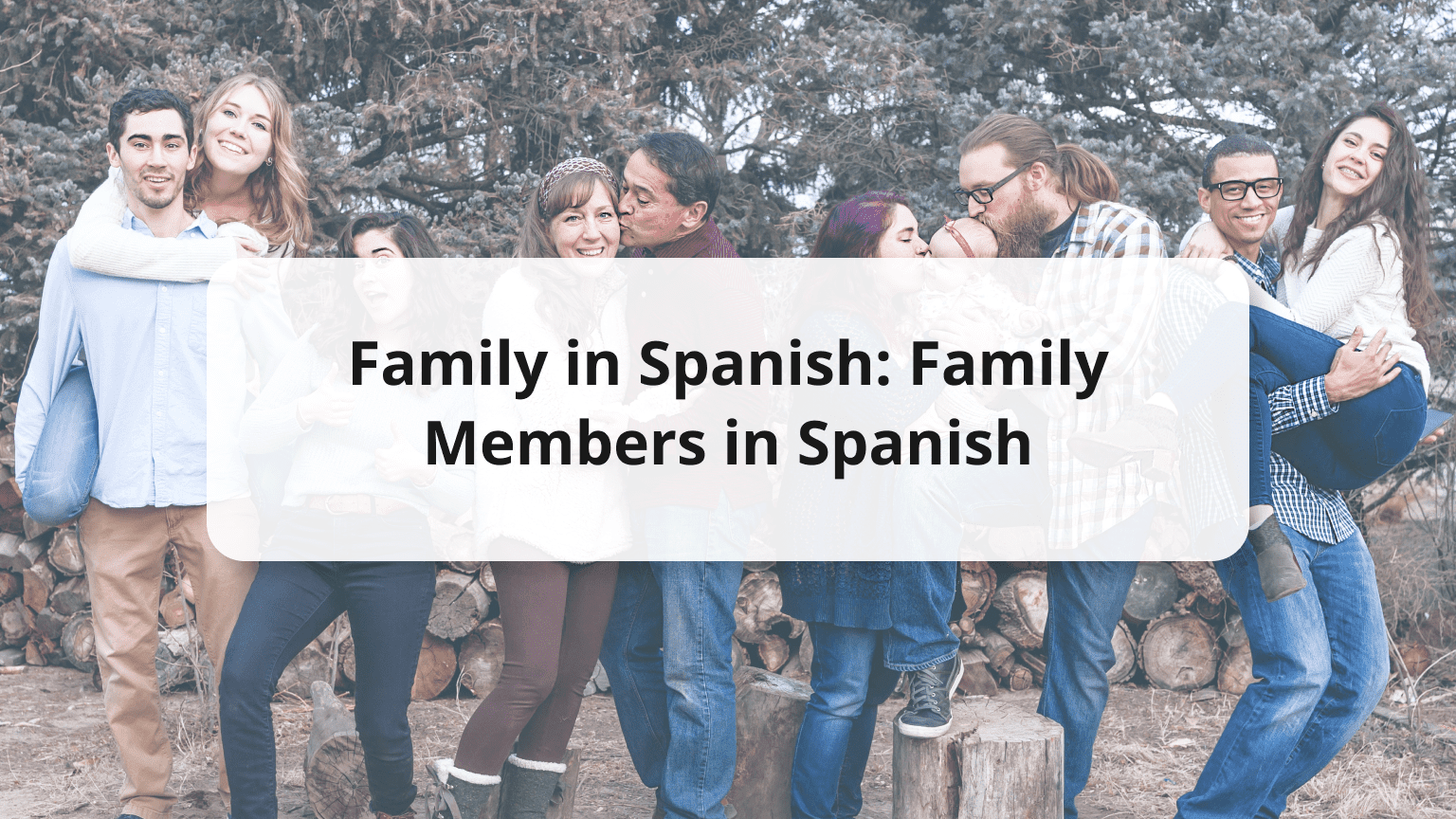 Family in Spanish Expressing Family Vocabulary in Spanish