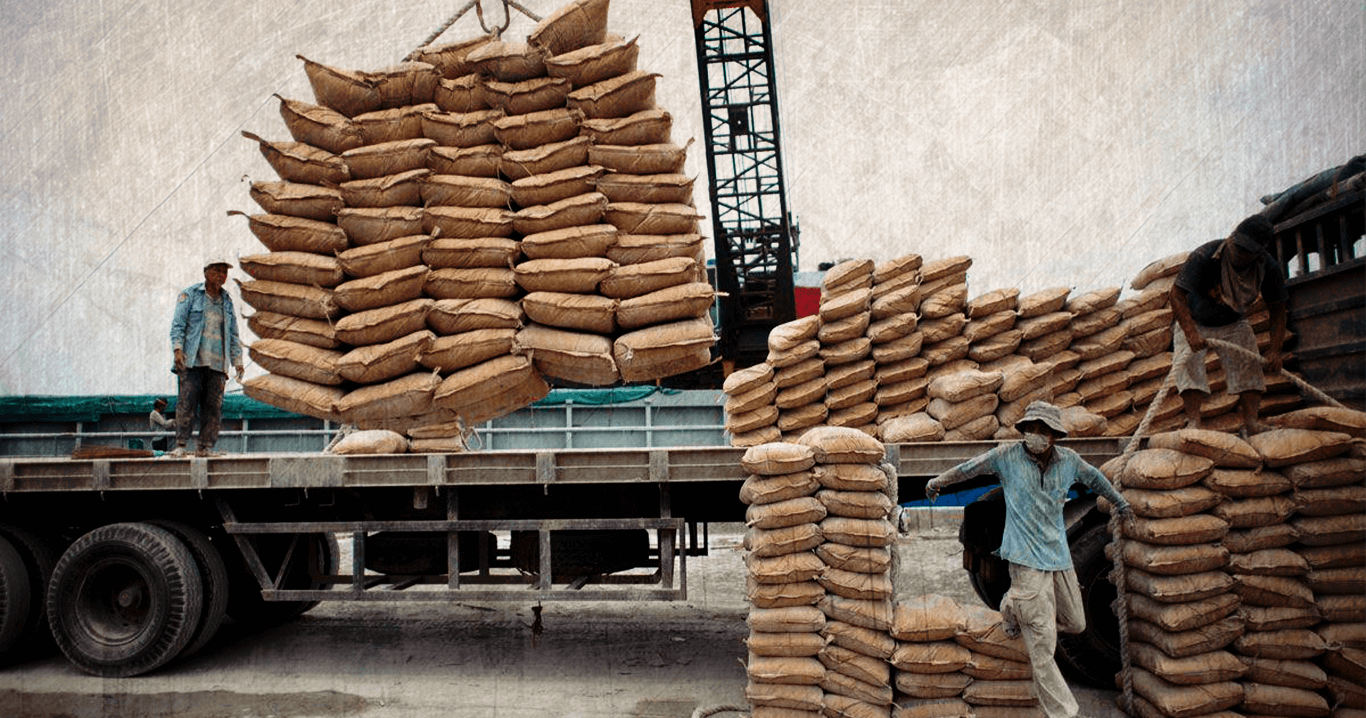 Egypt cement prices on February 25 Amwal Al Ghad