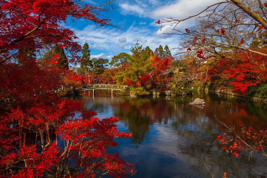 Leaf-Peeping In Japan: 2019 Fall Foliage Forecast - KKday Blog