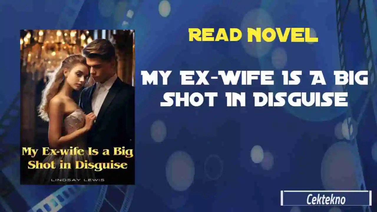 My ExWife Is A Big Shot In Disguise Novel by Lindsay Lewis Read Online