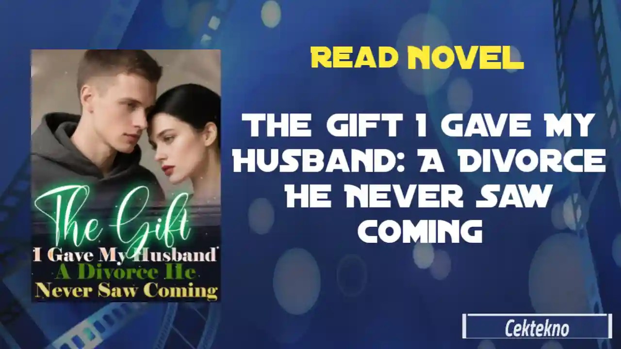 The Gift I Gave My Husband A Divorce He Never Saw Coming Novel by