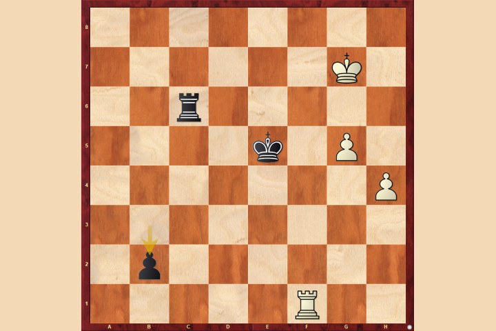 Chess News | Chessbase