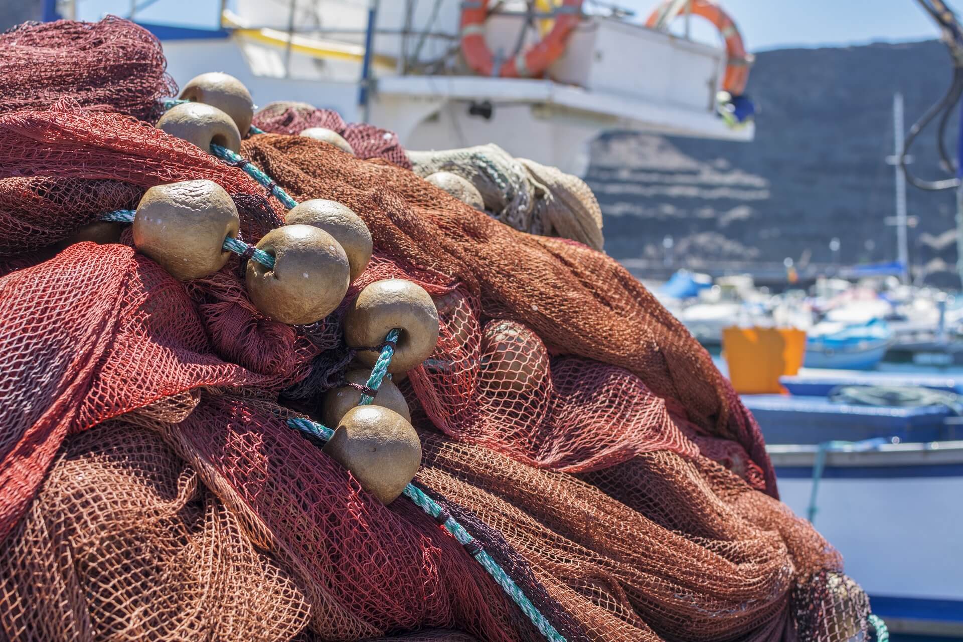 Presentation Copalis