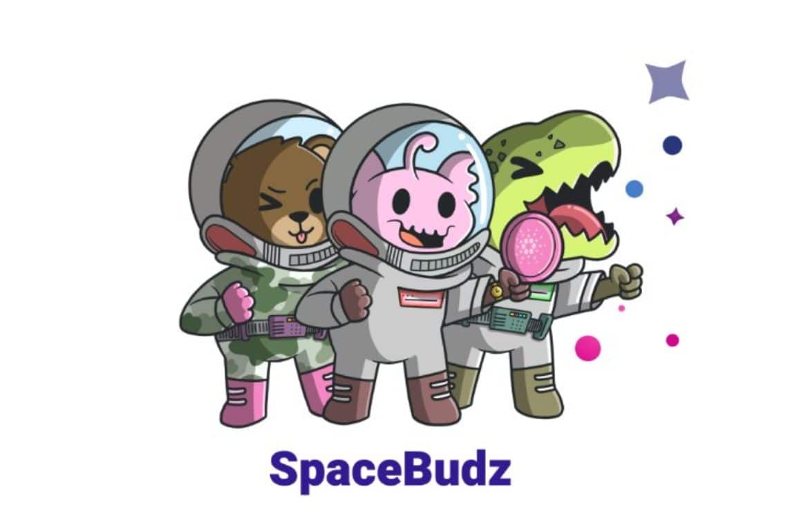 SpaceBudz new astronaut NFTs on Cardano The Cryptonomist