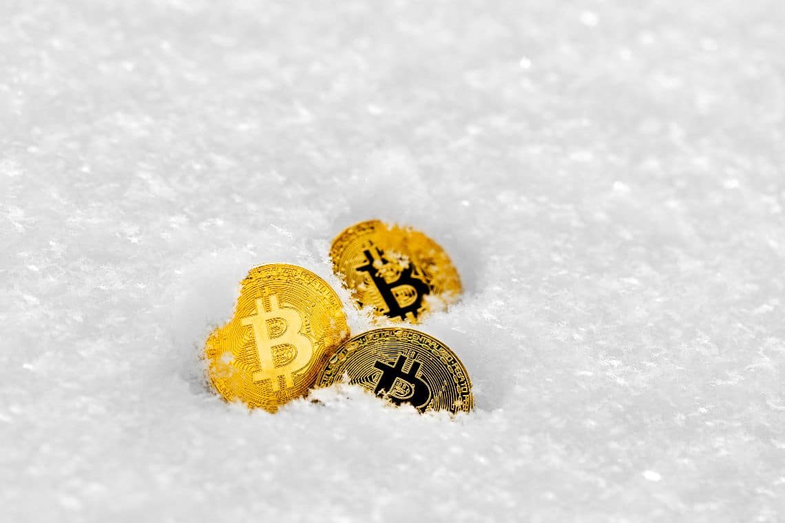 Gemini, Winklevoss "There may never be another crypto winter"