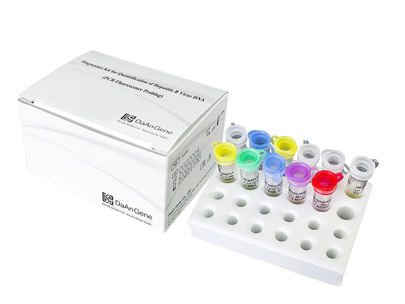How to Perform HBV DNA Quantitative Test by Realtime PCR Daan Gene