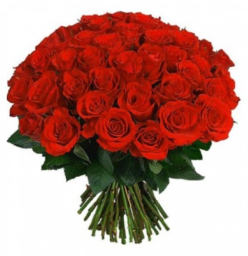 Send roses to Tegucigalpa & San Pedro Sula with Home