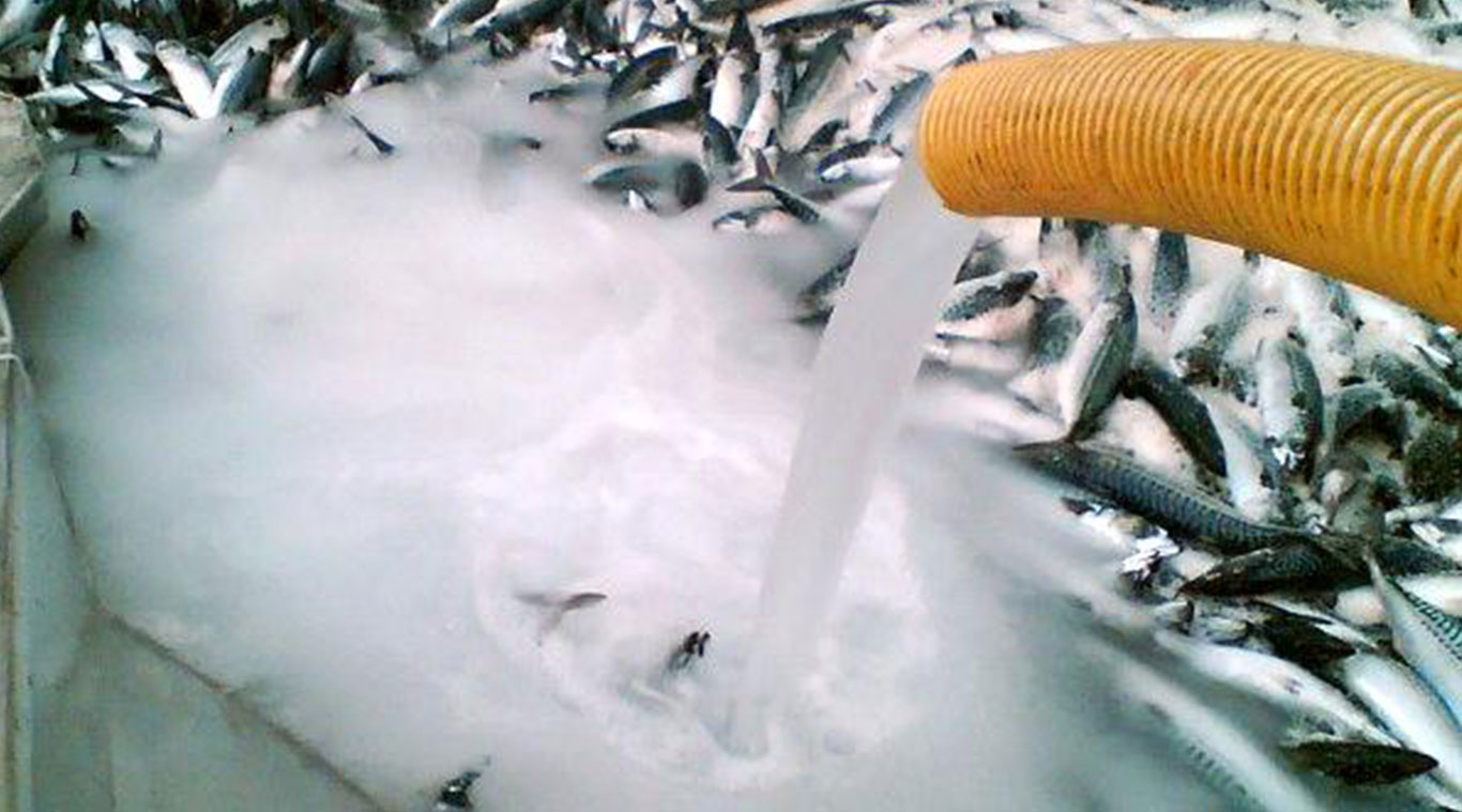 Focusun slurry ice machineice making new technology