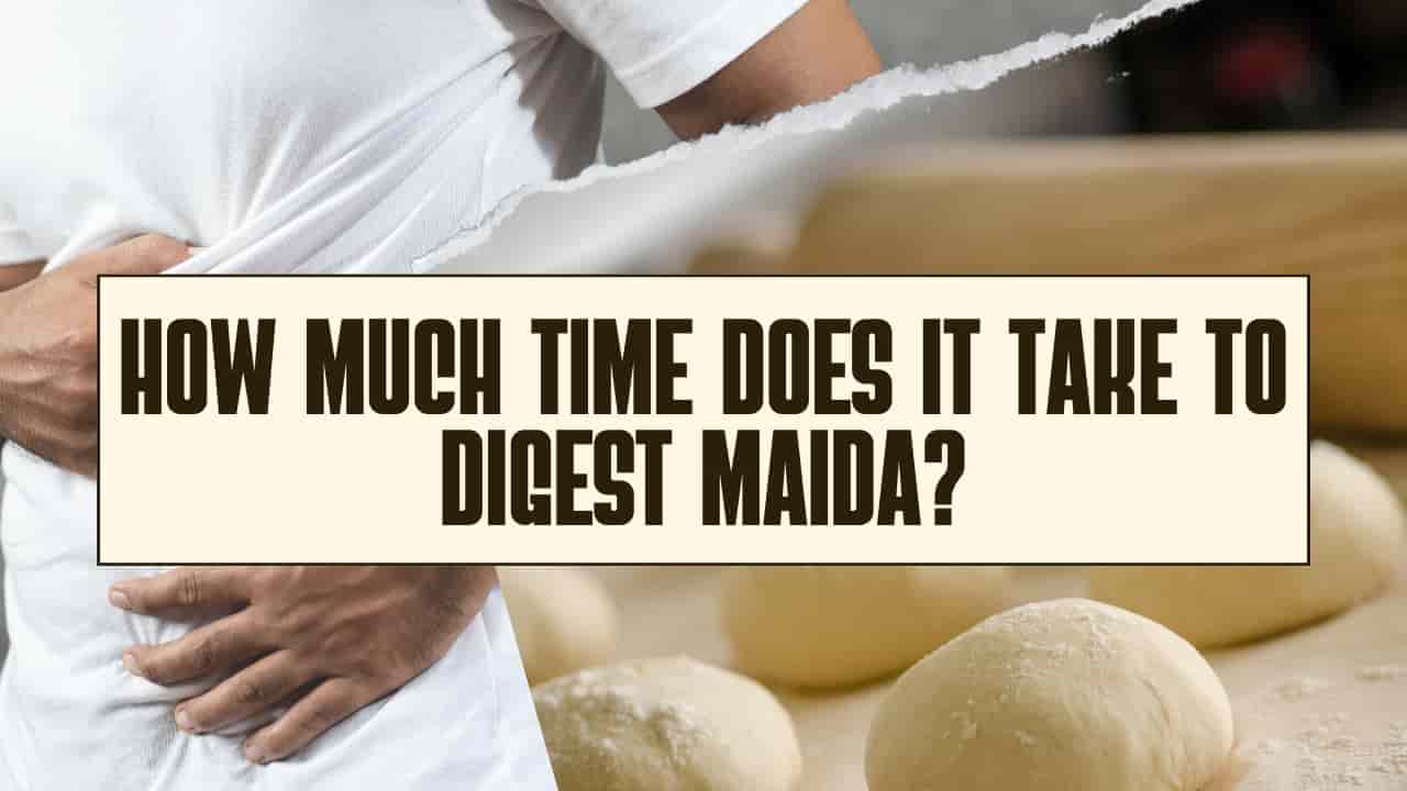 How Much Time Does It Take to Digest Maida?