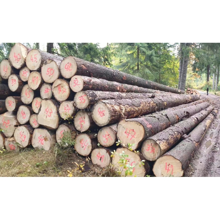 Professional Kingwaywood Industry Spruce Imports European Spruce Log
