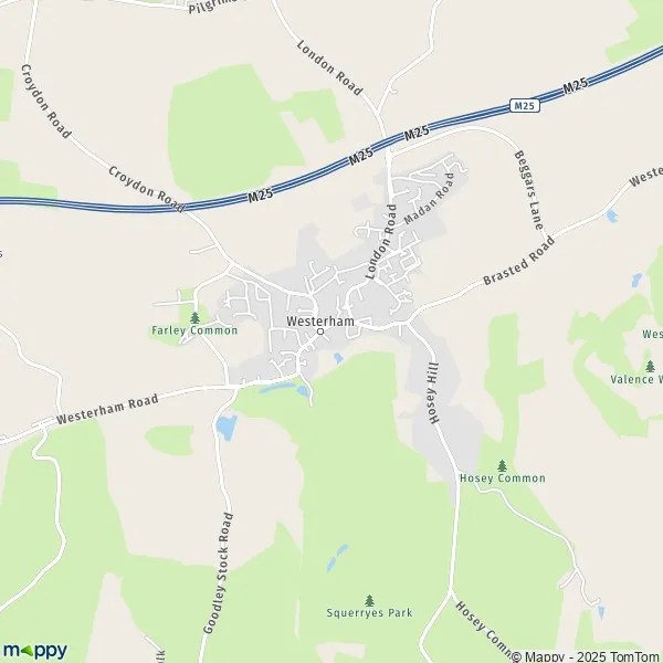 Map Westerham map of Westerham (TN16 1) and practical information