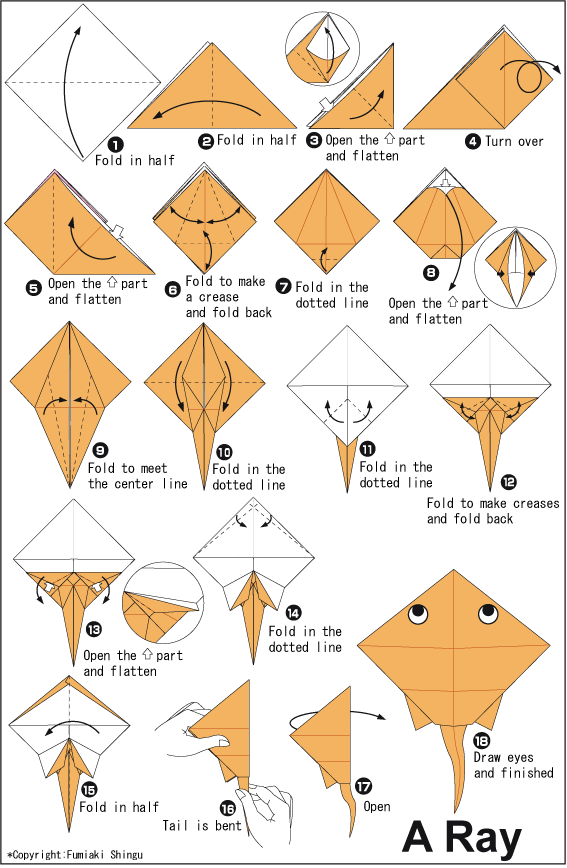 Origami Folding Instructions DoveOrigami Folding