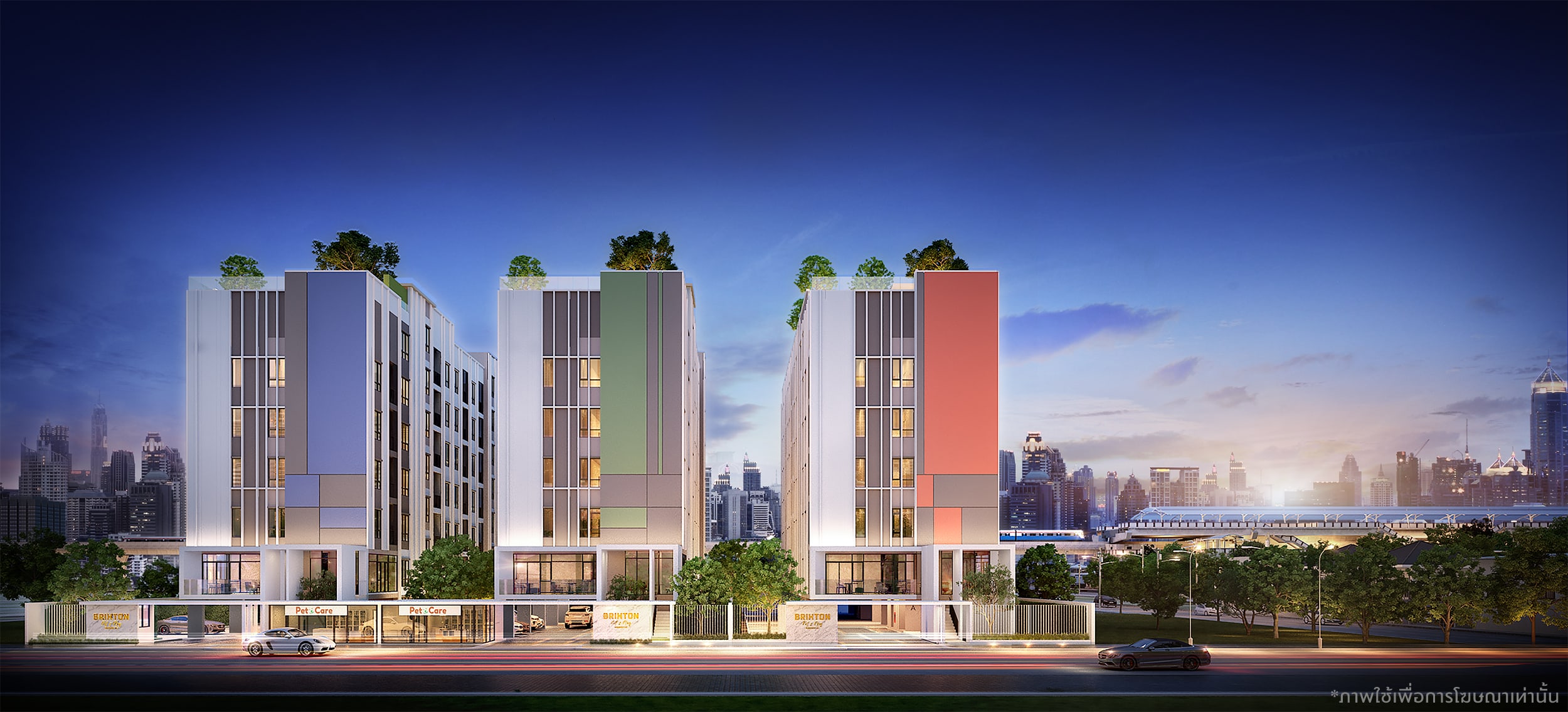 Brixton Pet and Play Sukhumvit 107