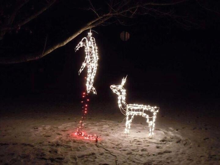 9 times Christmas lights went very, very wrong (HILARIOUS VIDEOPHOTOS)