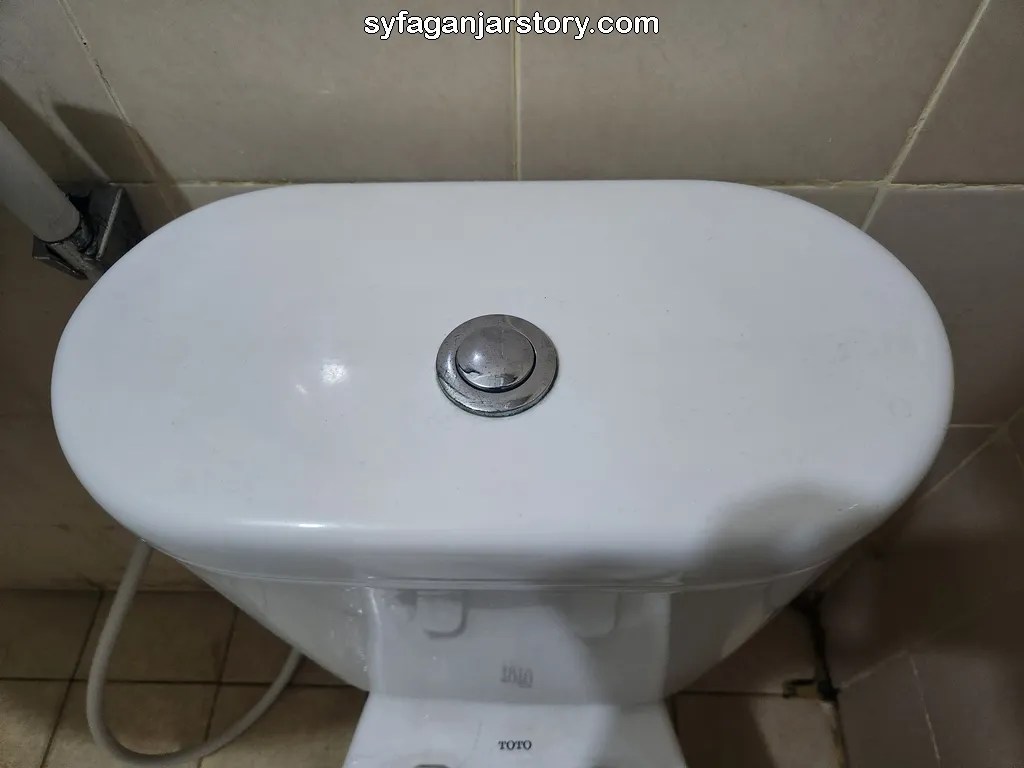 How to Use Toilet Seat Properly