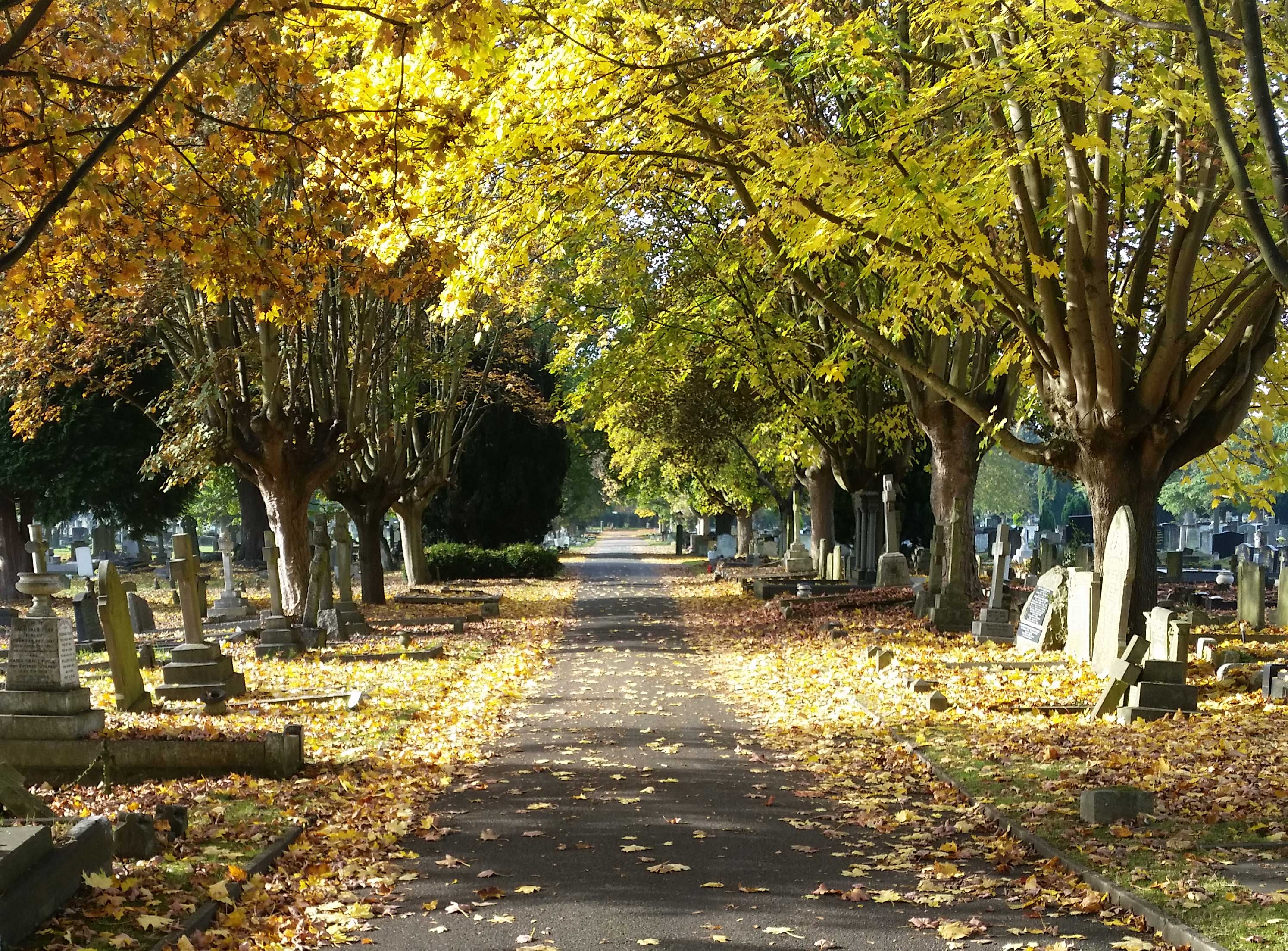 Wandsworth Cemeteries Enable Enable