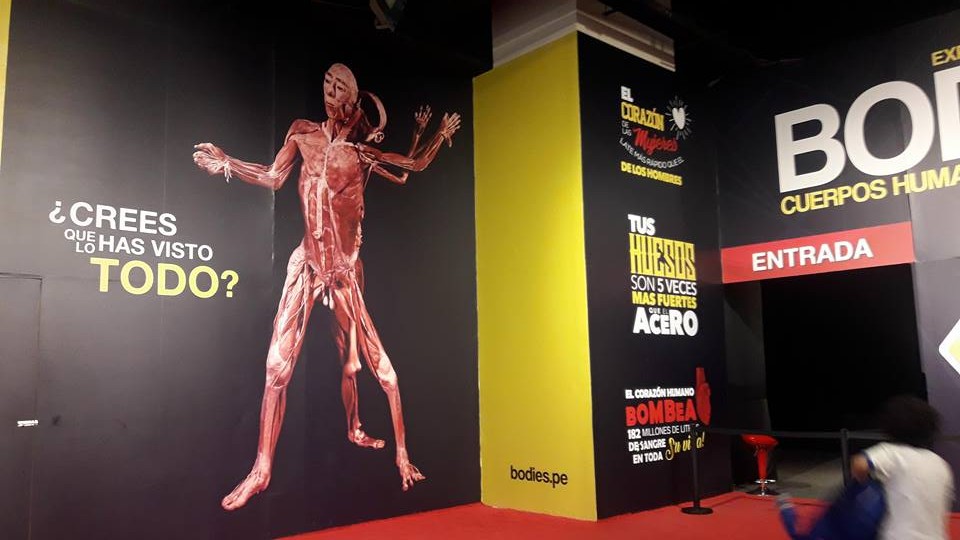BODIES exposición de cuerpos Reales en el Centro Comercial Plaza Norte