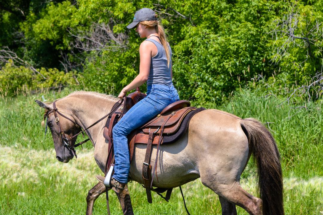 SOLD Gru 14 Hand Silver Grullo Enchanted Hollow Stables