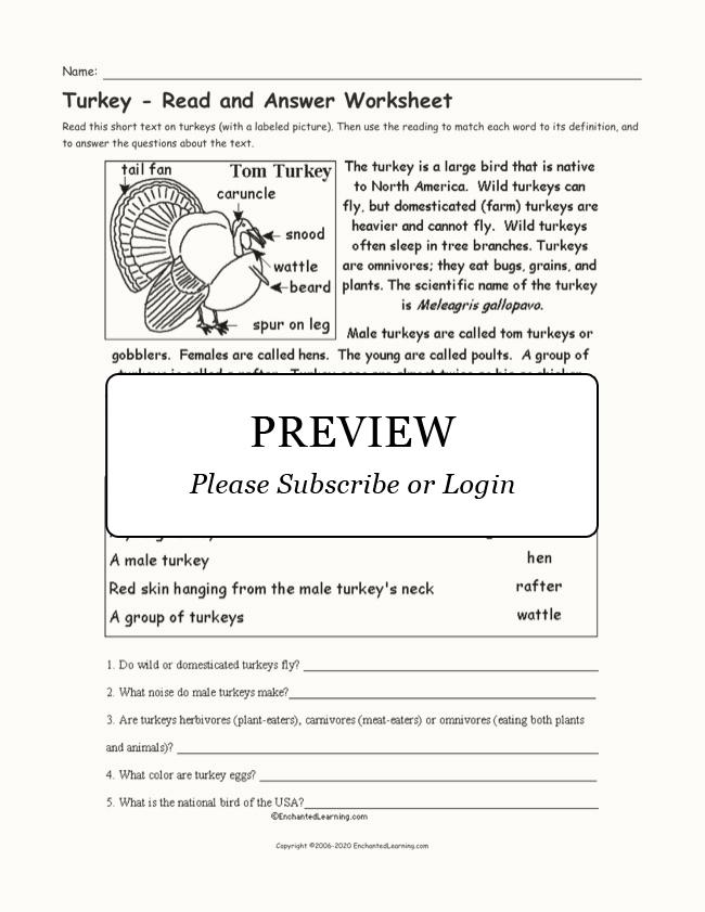 Turkey Read and Answer Worksheet Enchanted Learning