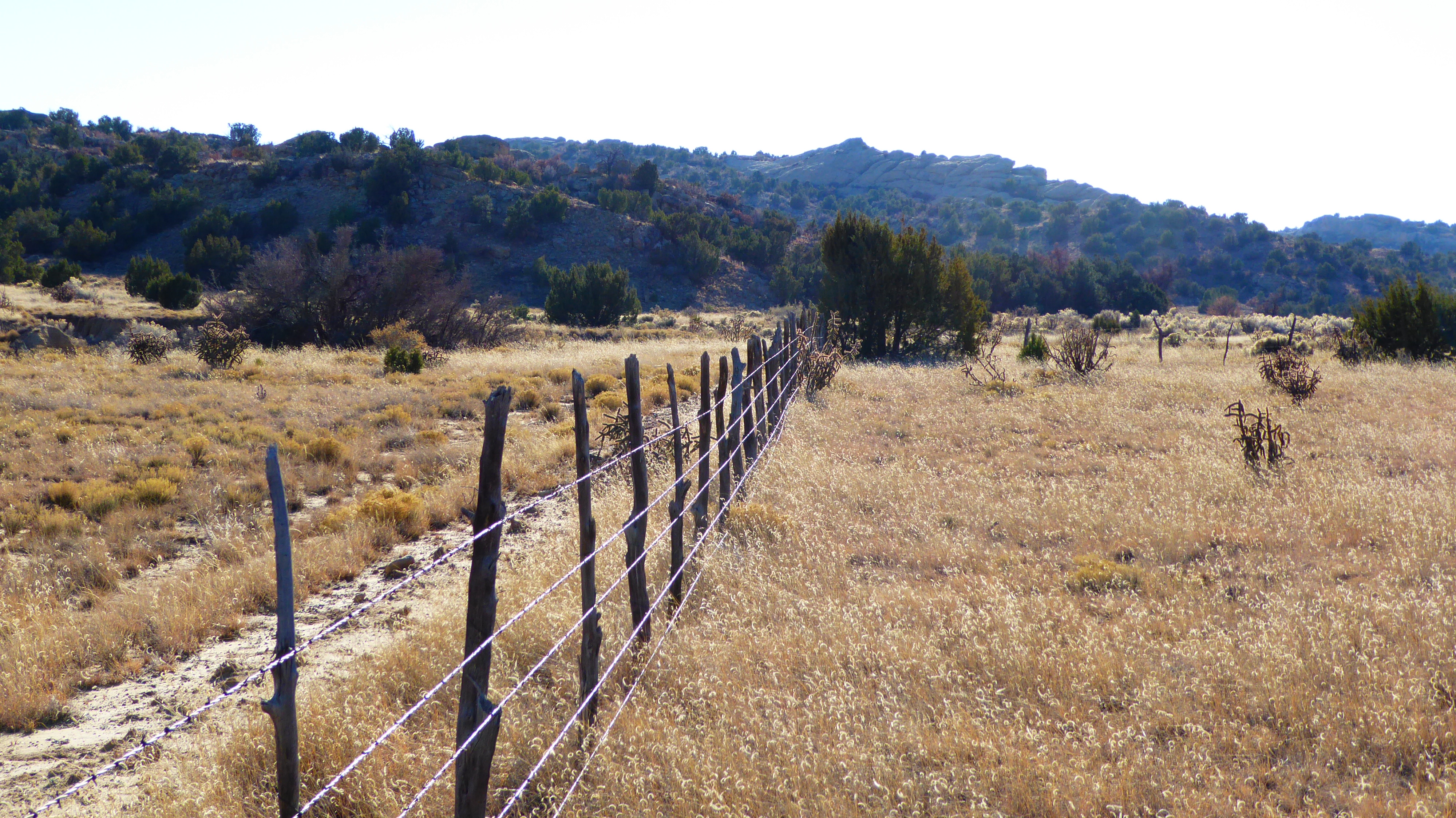 Enchanted Valley Ranch