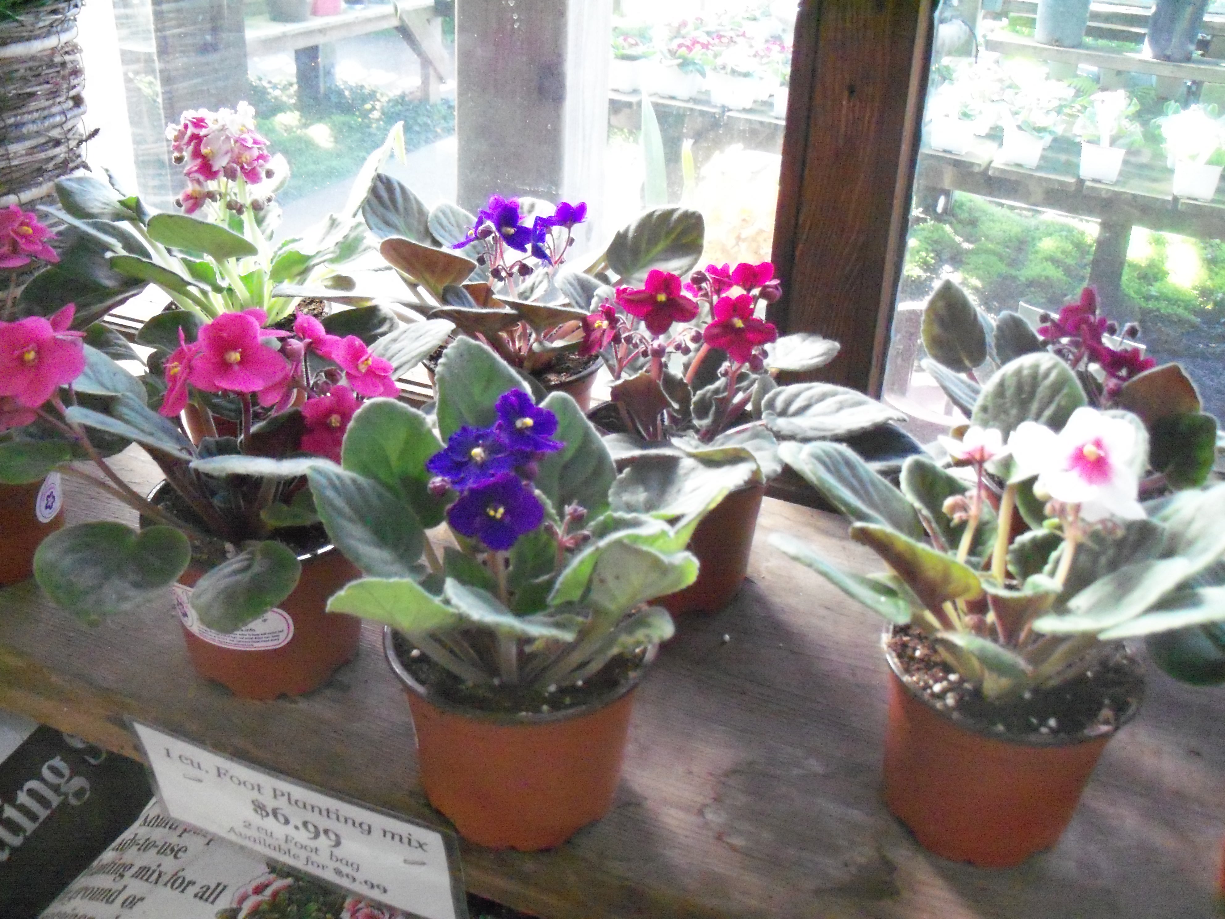 Happy 2012 Encinal Nursery