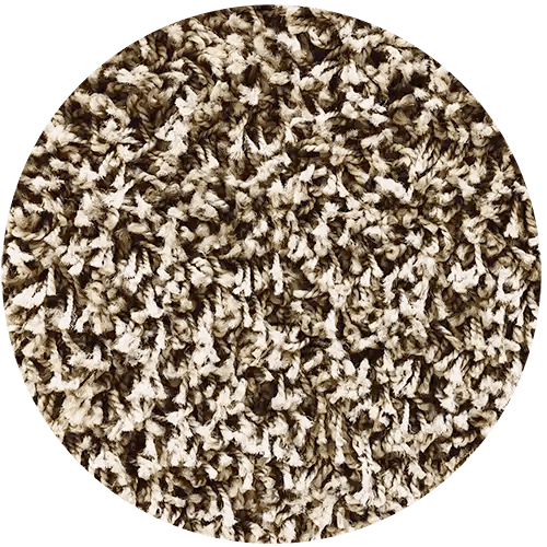 Encore Carpet Cleaning Nevada County & Sacramento County