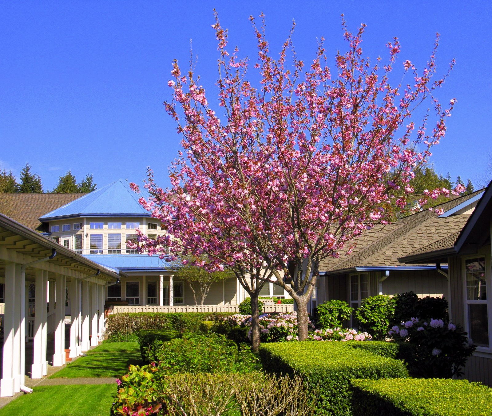 Clearbrook Inn Community Senior Community Living Silverdale WA
