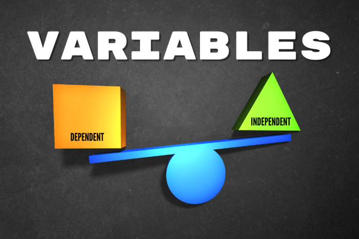What Is A Variable What Is A Variable