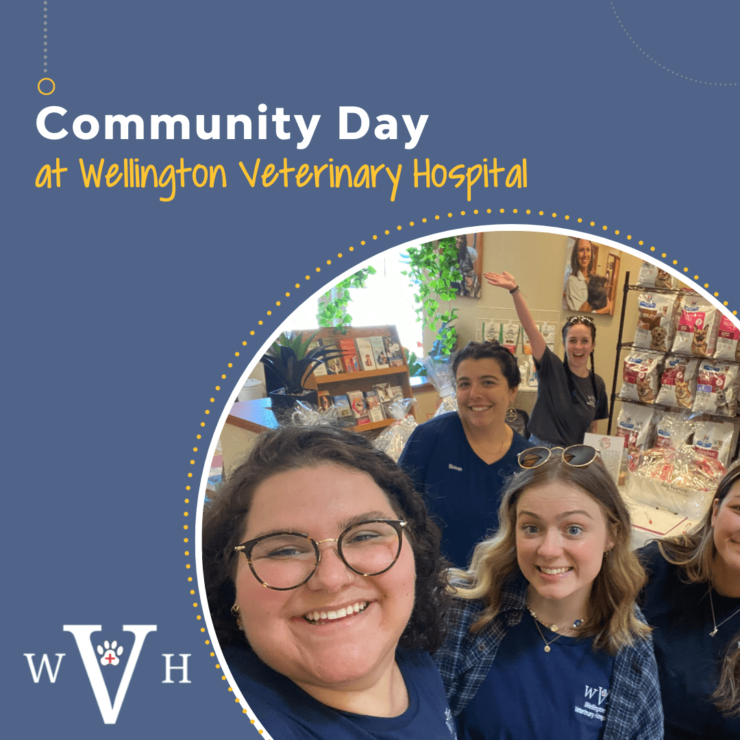 Community Day at Wellington Veterinary Hospital Encore Vet Group