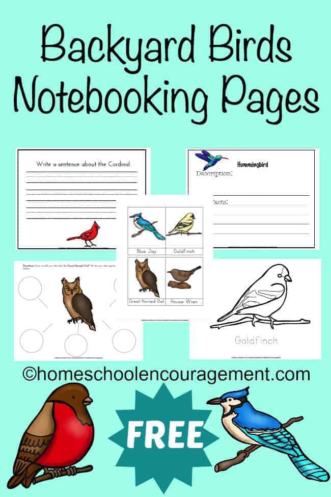 Backyard Birds Notebooking Pages
