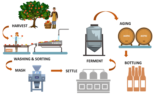 Apple juice fermentation process | Encyclopedia MDPI
