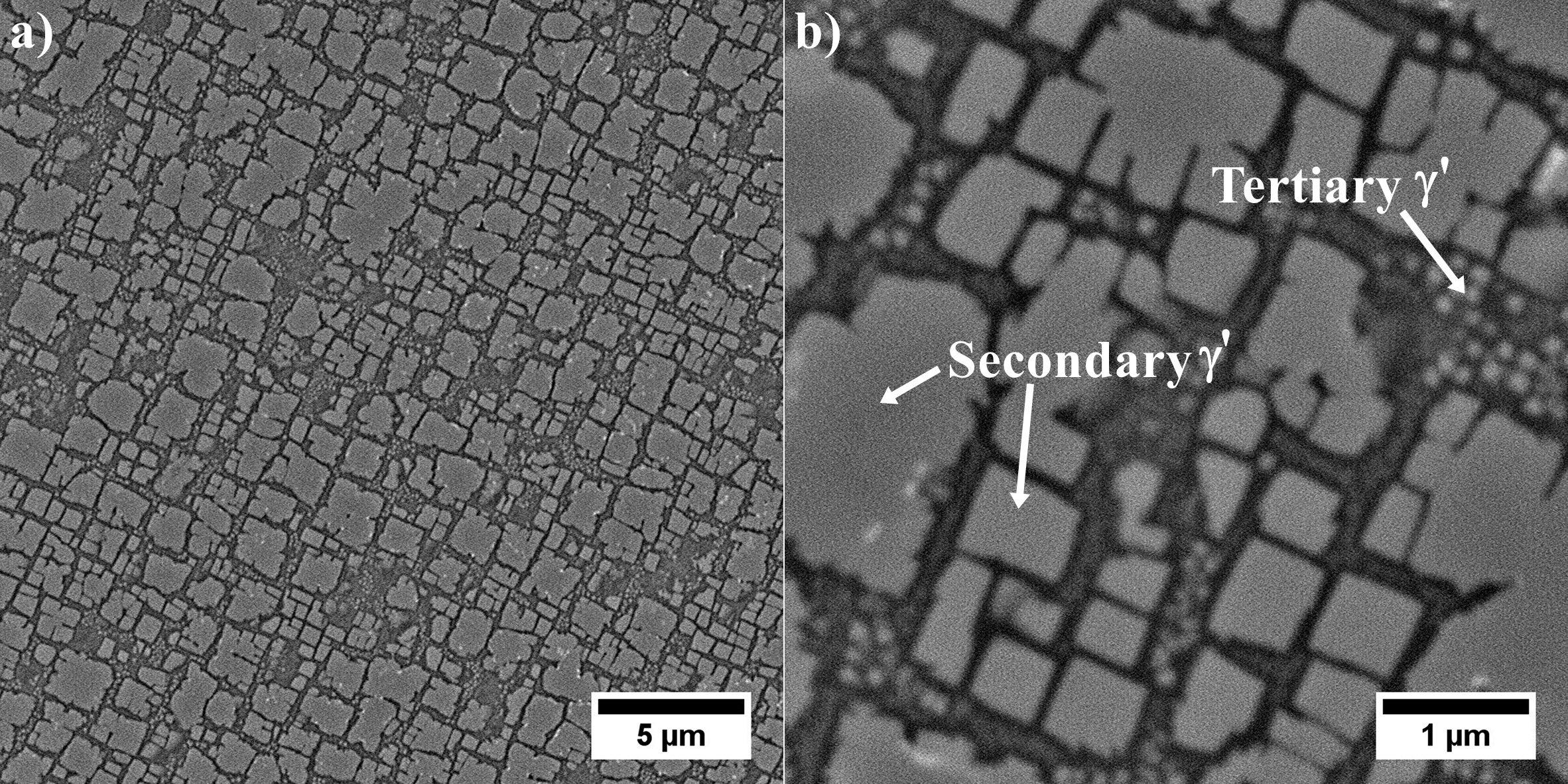 Microstructure of NiBased Superalloy Encyclopedia MDPI