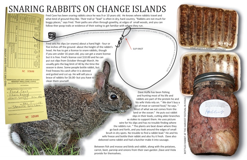 Snaring Rabbits on Change Islands › Towards an Encyclopedia of Local