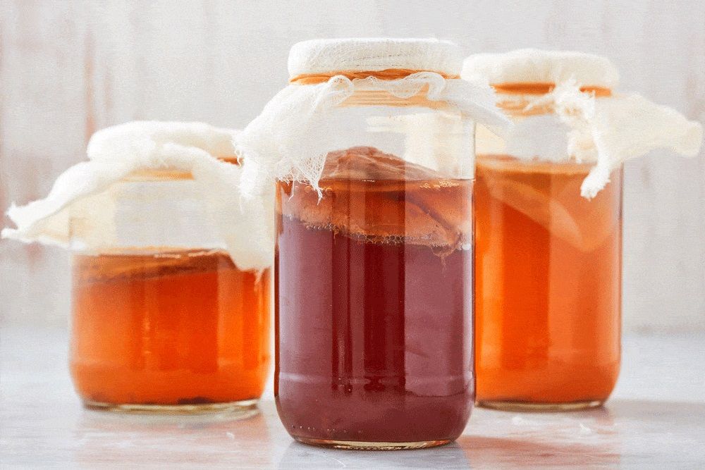 What is Kombucha and How to Make it