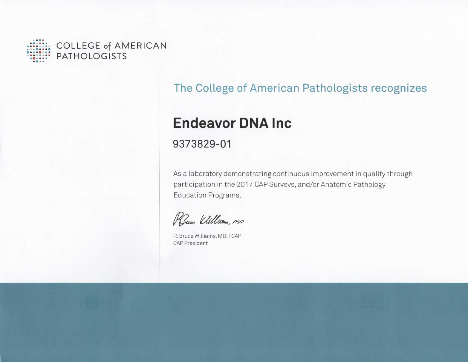 Accreditation Endeavor DNA