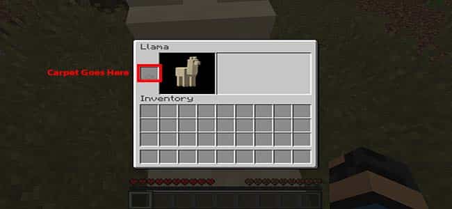 How To Find and Tame Llamas in Minecraft EnderChest