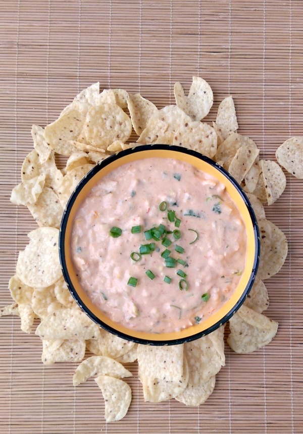 Cheesy Mexican Chicken Dip Endlessly Inspired