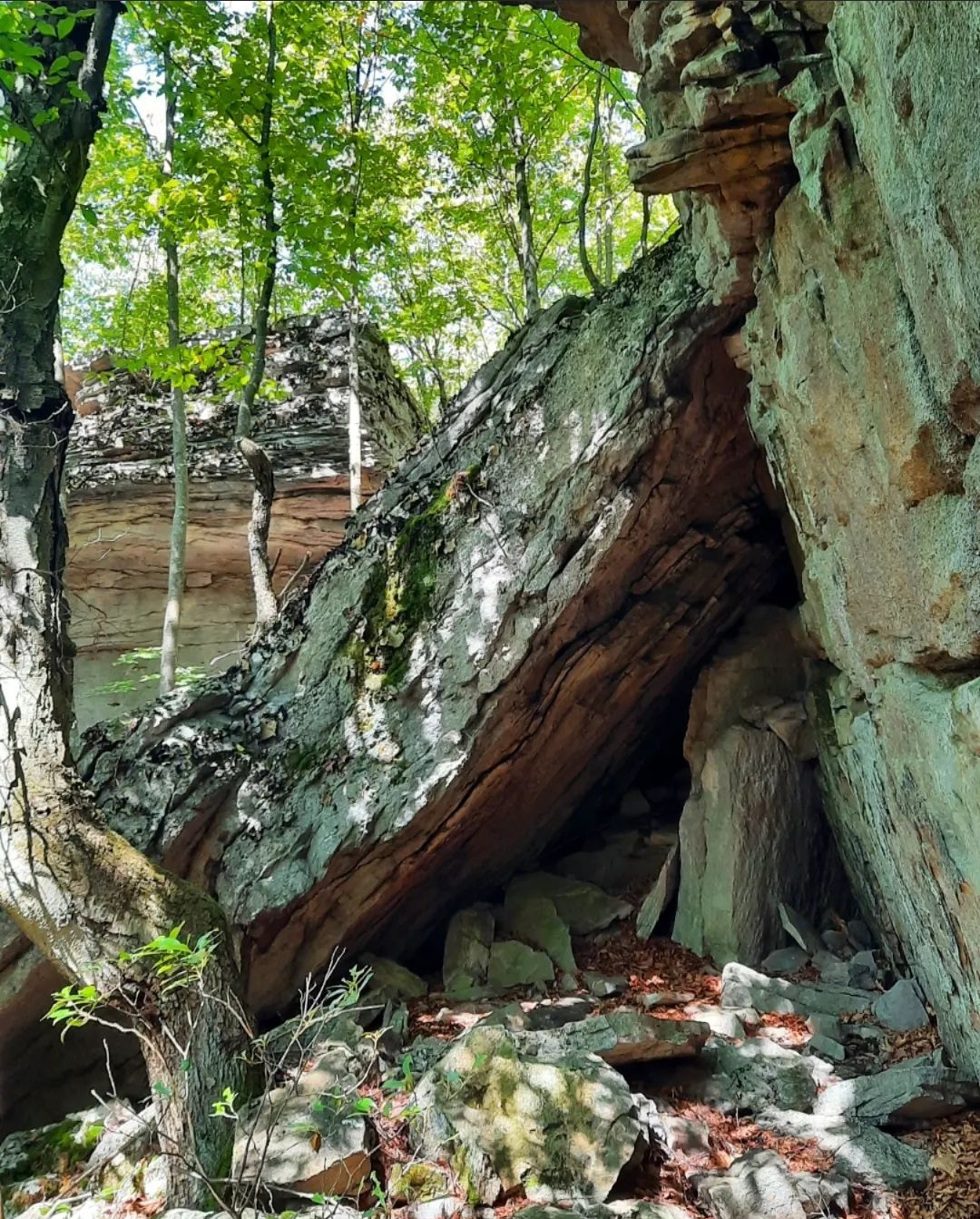Hike the Big RocksSproul State Forest Endless Mountains Experience