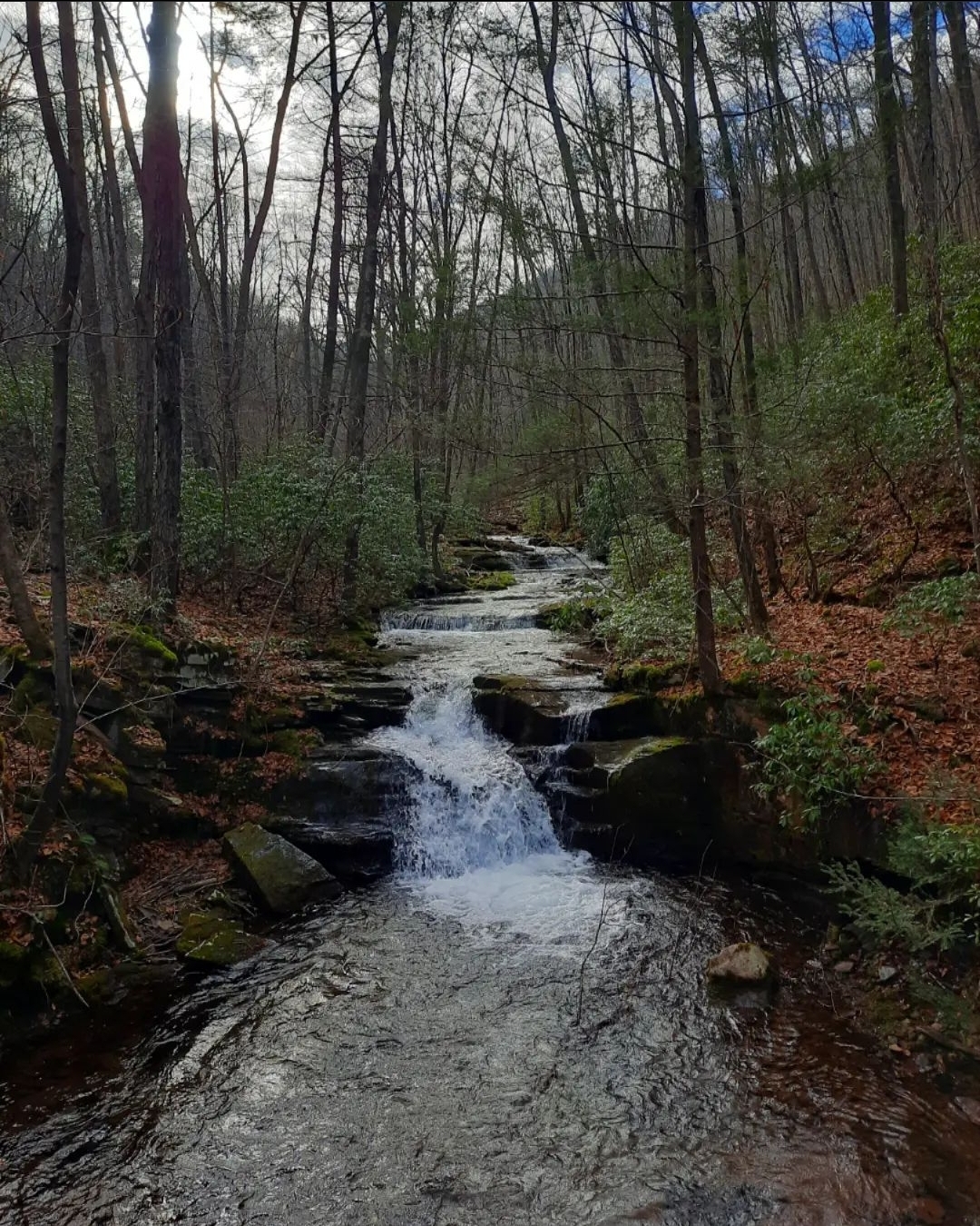 Hike the Ott Fork TrailTiadaghton State Forest Endless Mountains