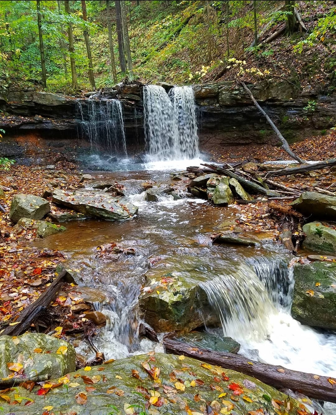 Backpacking the Loyalsock Trail Endless Mountains Experience