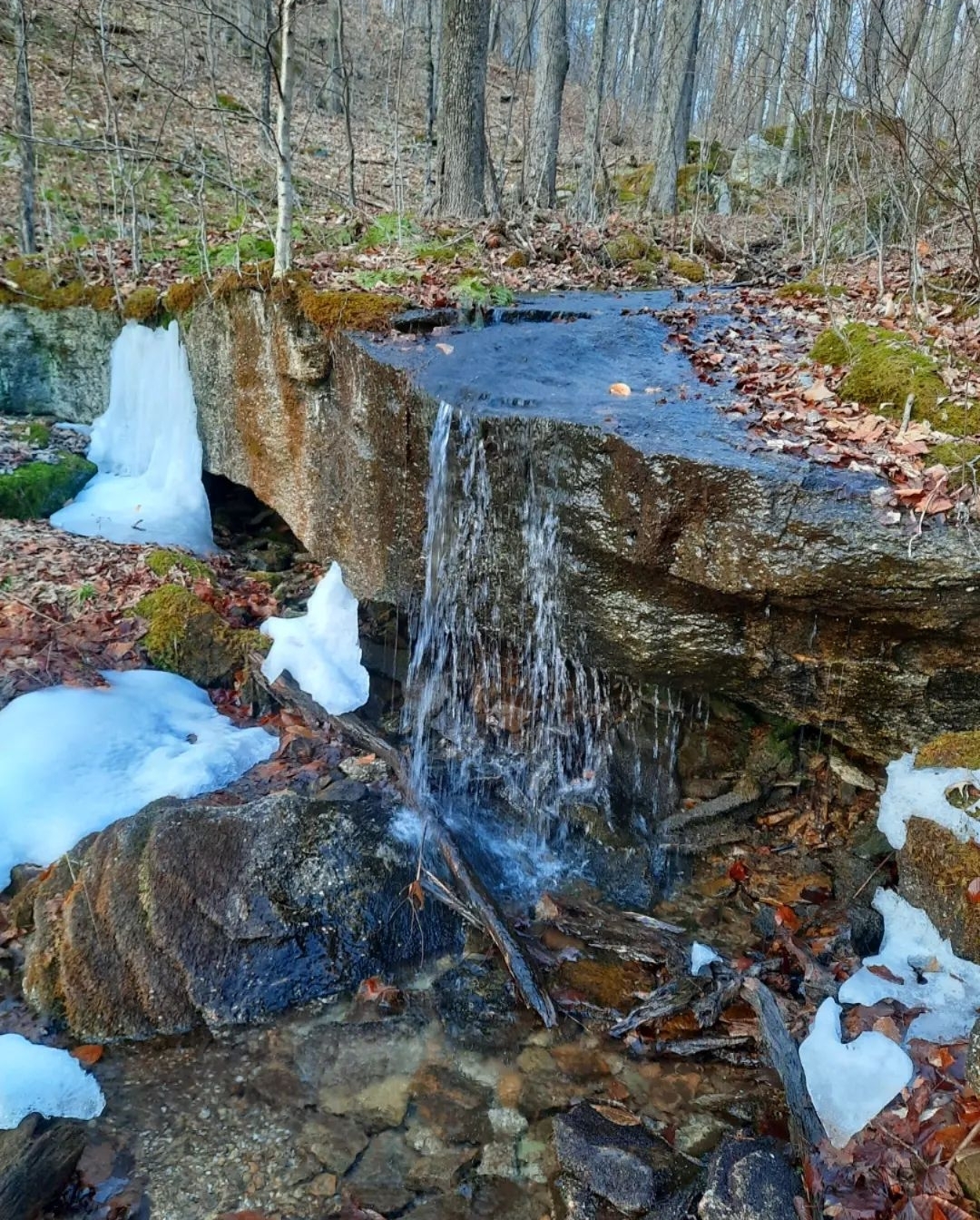 Hike at Lyman Run State Park Endless Mountains Experience