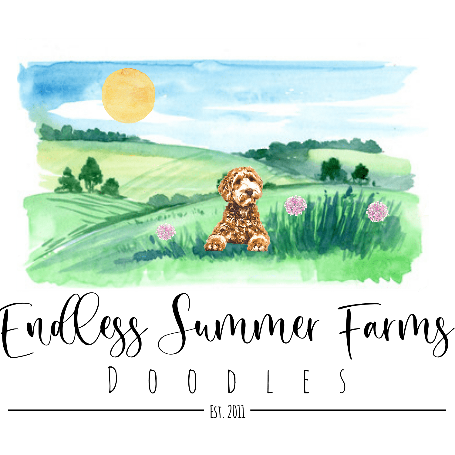 Guardian Program Contracts Endless Summer Doodles