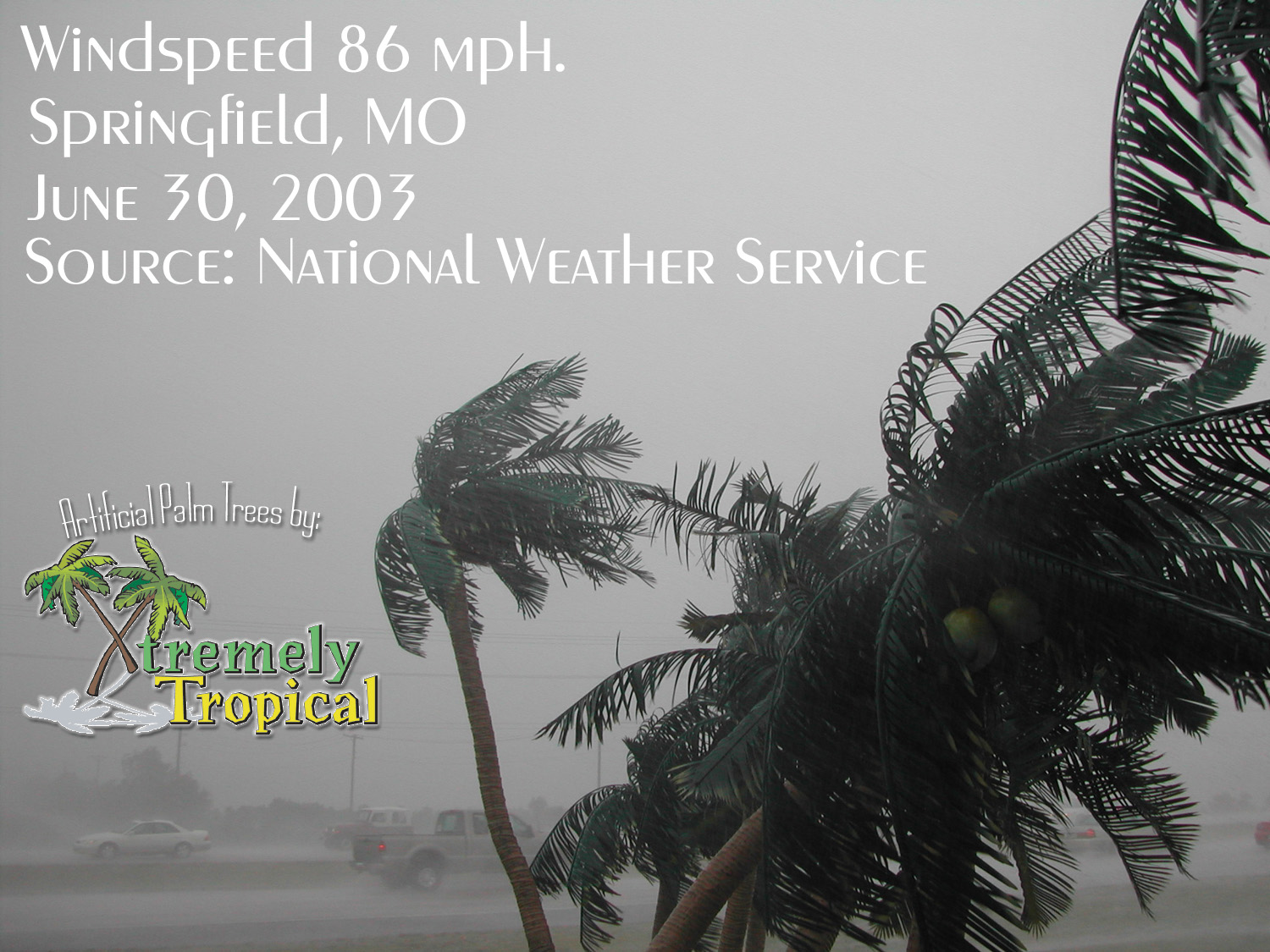 Artificial Palm Trees