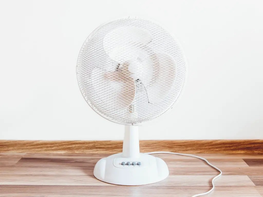 Can A Household Table Or Ceiling Fan Repel Mosquitoes?