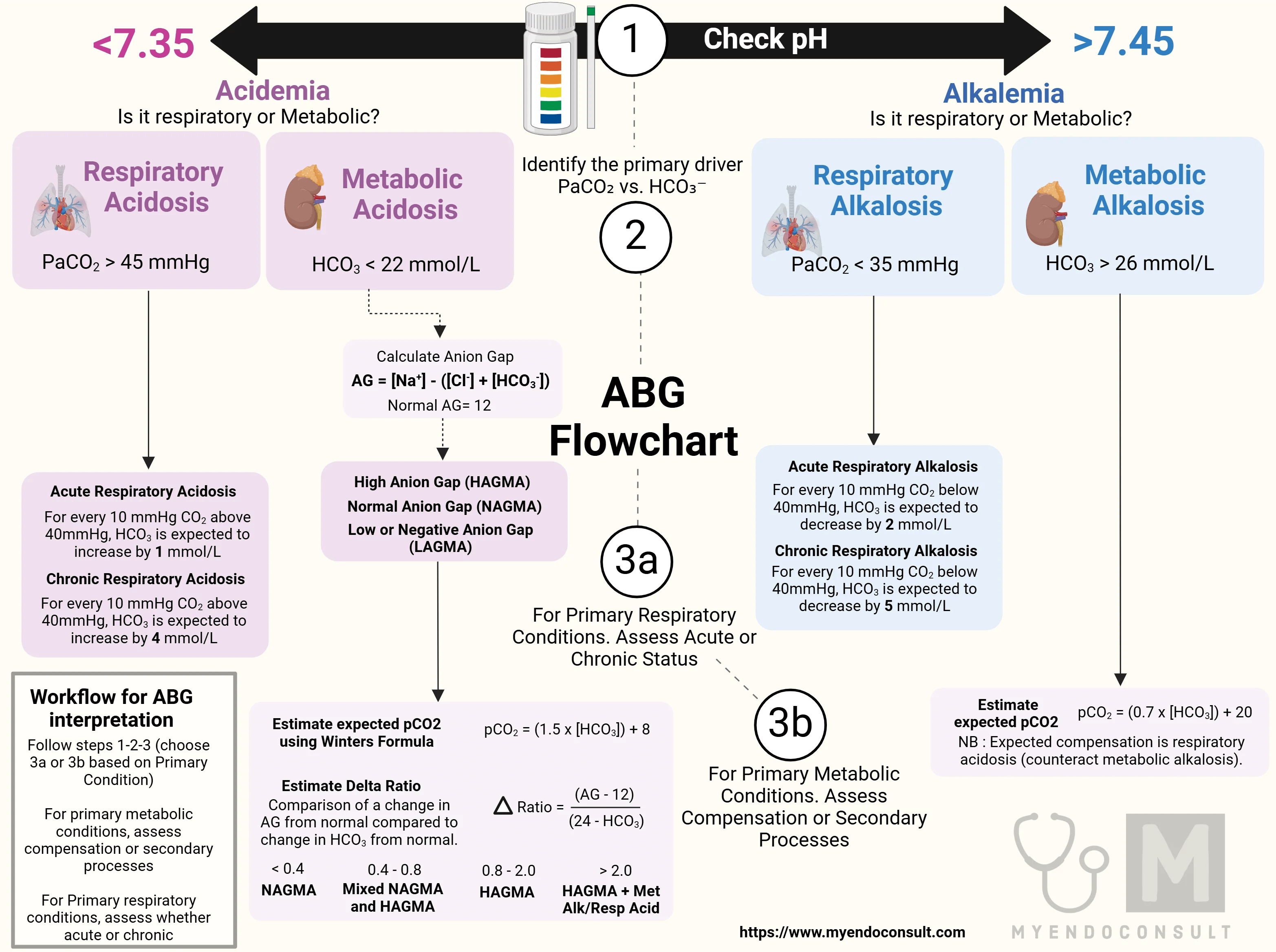 ABG Calculator – My Endo Consult