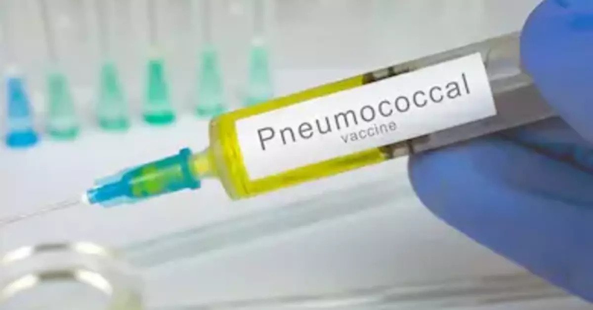 What is ACIP for Adult Vaccination