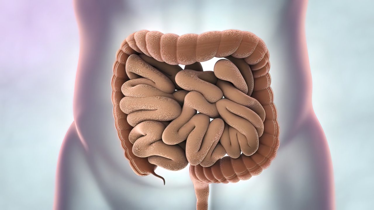 Endoscopy in IBD Endoscopy On Air