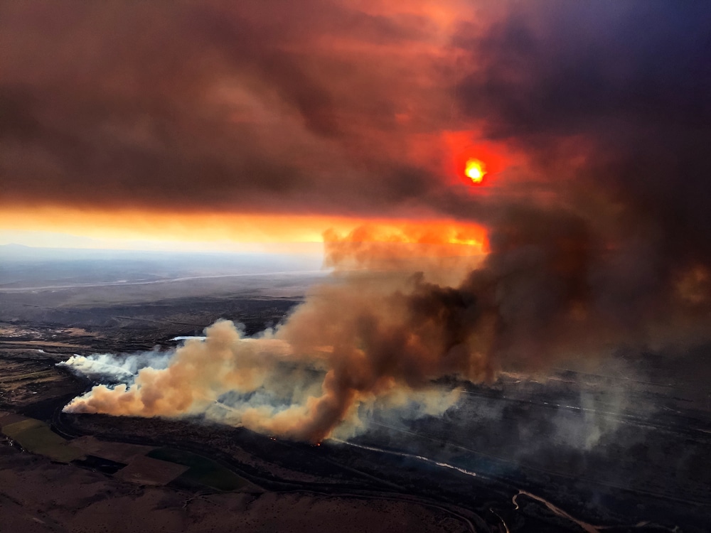 New Mexico wildfire has grown to the largest in state history