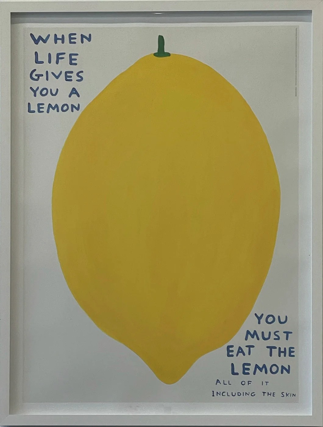 David Shrigley 'When Life Gives You a Lemon﻿﻿' End To End Gallery