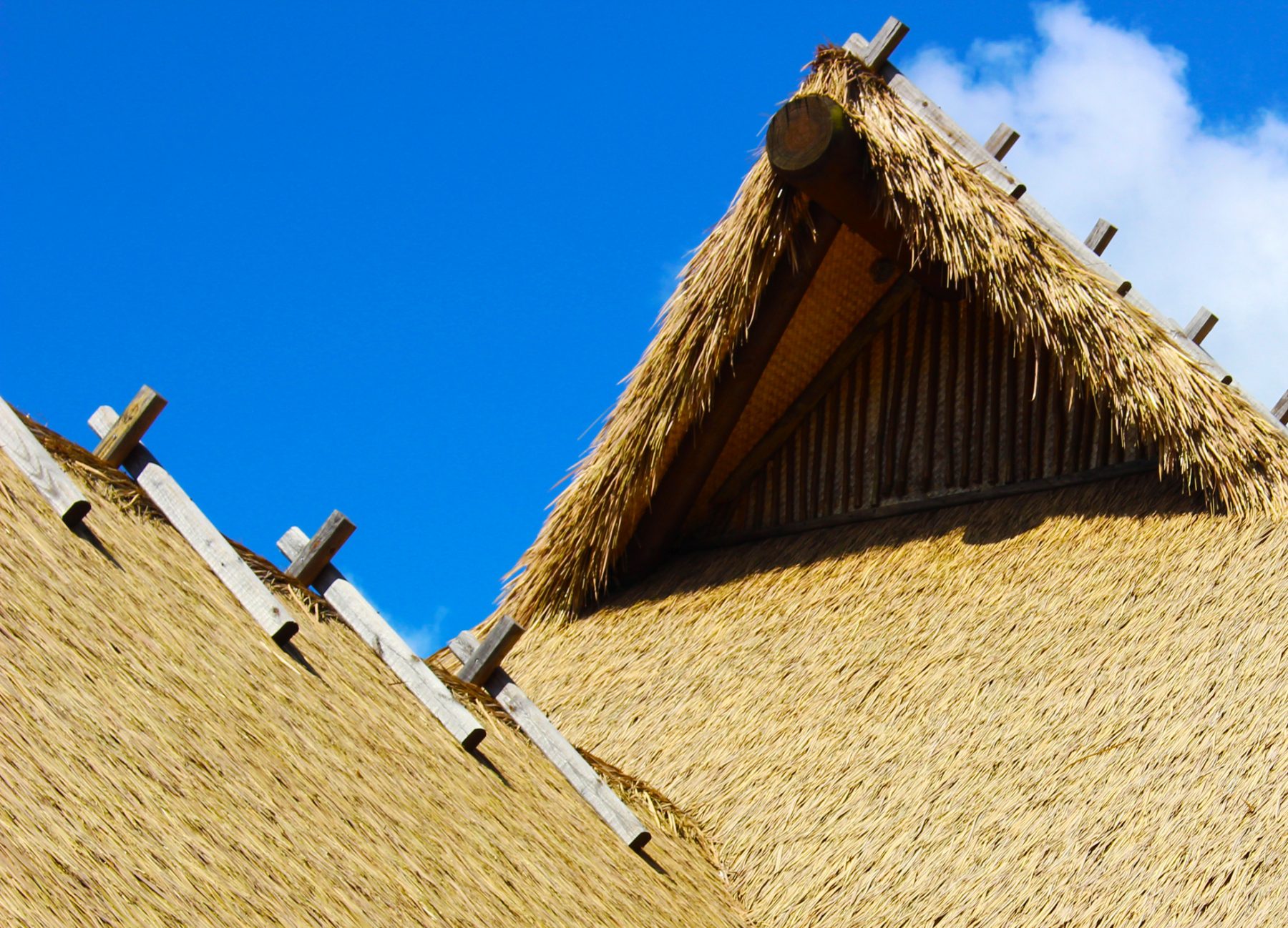 Around the World With Endureed Thatch Roofing Endureed